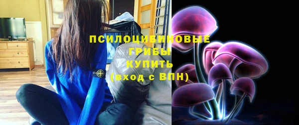 мет Арсеньев