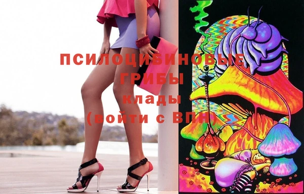 мет Арсеньев