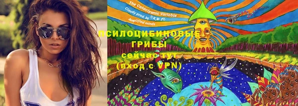 прущий лед Аркадак