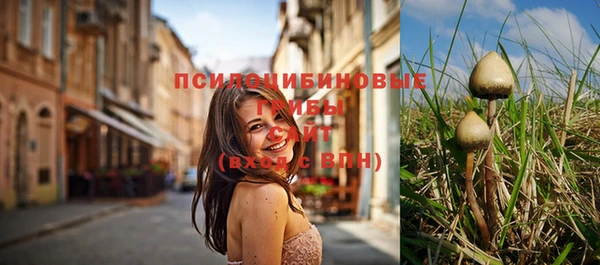 мет Арсеньев