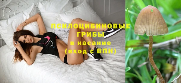 прущий лед Аркадак